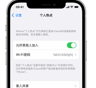 唐河apple服务站点分享iPhone上个人热点丢失了怎么办 