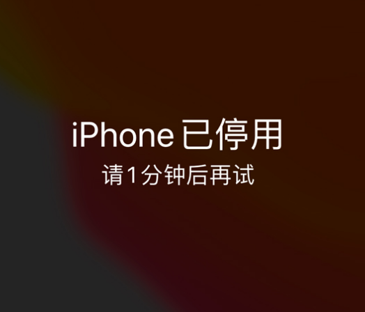 唐河苹果手机维修分享:iPhone 显示“不可用”或“已停用”怎么办？还能保留数据吗？ 