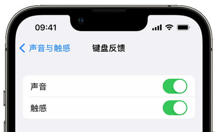 唐河苹果手机维修分享iPhone 14触感键盘使用方法 