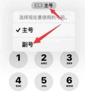 唐河苹果14维修店分享iPhone 14 Pro Max使用副卡打电话的方法 