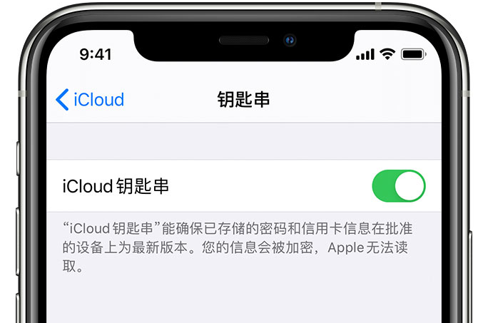 唐河苹果手机维修分享在 iPhone 上开启 iCloud 钥匙串之后会储存哪些信息 