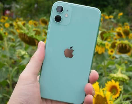 唐河苹果维修点分享iPhone 11锁屏密码认知与使用科普 